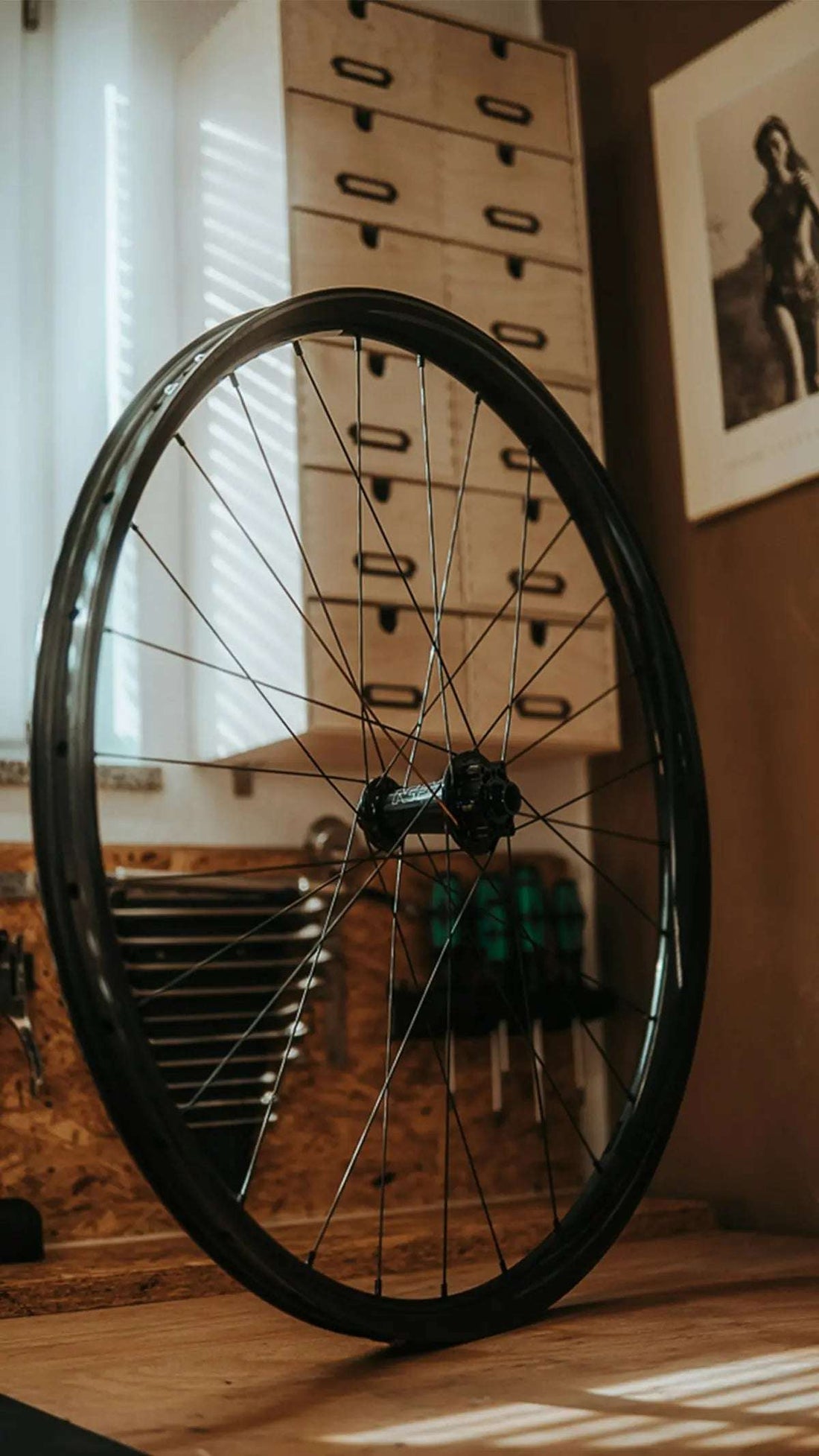 Discover the Advantages of a Carbon Disc Brake Wheelset and 54T Ratchet for Tubeless Riding