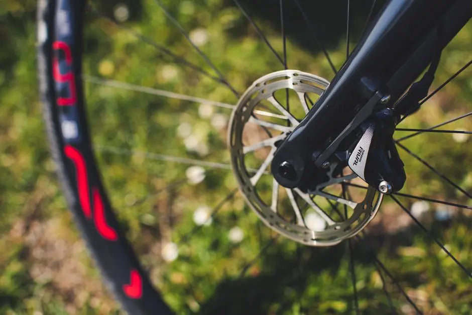 Macro shot of a bicycle wheel with focus on rim and spokes in natural setting.